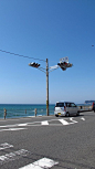 Road，Japan