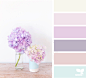 Design Seeds : Design Seeds color palettes ... posted daily for all who love color.