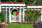 白色花园的门和栅栏多彩植物园
