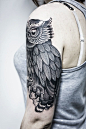 owl tattoo