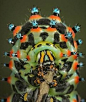 魔花螳螂真能模拟花卉？盘点10大怪异昆虫