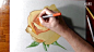 How I draw a yellow rose.1080p—在线播放—优酷网，视频高清在线观看