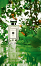 罗勒与橙花香水 | Jo Malone China E-commerce Site : 游走伦敦街头，轻率恣意，妙趣无穷。<BR>橙花的花香气息挑逗着感官，罗勒的绿意香气不安分地若隐若现。经典的英伦气质中，流露着不羁个性。清新、跃动、充满冒险 。<BR>※购买罗勒与橙花系列产品，获赠潮趣英伦包装（限量200份）<BR>