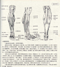 人体造型基础——人体局部解剖 - 水木白艺术坊 - 贵阳画室 高考美术培训