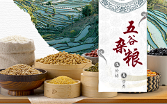 X法布尔采集到banner