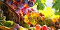 篮子与葡萄 图片素材(编号:20140511021239)-水果蔬菜-餐饮美食-图片素材 - 淘图 taopic.com