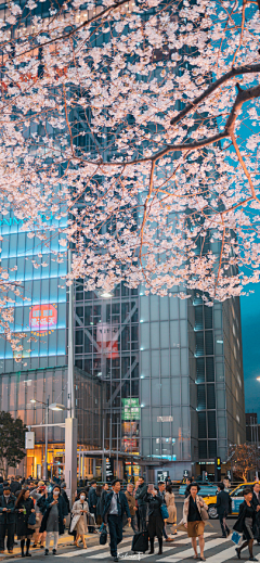 町ˇ采集到景色集