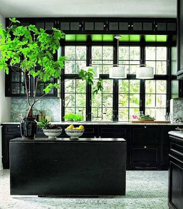 创意家居之厨房里的绿色植物空间设计