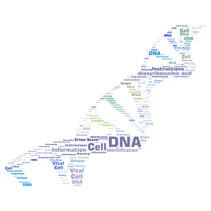 DNA word cloud art