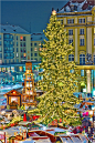 Christmas tree in Dresden, Germany