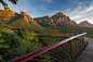 “魔法森林”上“梦幻浮桥”----康斯坦博西植物园树冠走廊Tree Canopy Walkway at Kirstenbosch / mta