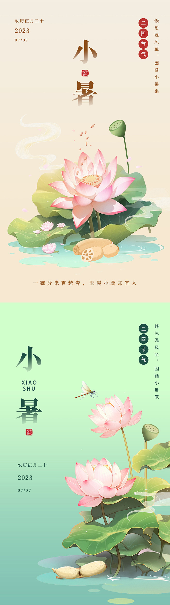 小暑荷花海报