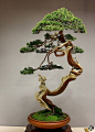 Juniper Bonsai by Jose Luis Blasco Paz