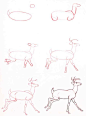 how to draw a deer | PAINTING & DRAWING