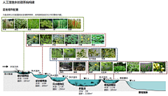 阿剑带你看豪宅采集到〃Landscape（F）分析图