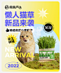 猫草滚图banner