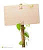 园林种植系列 - 绿叶围绕的告示牌 - 素材公社 tooopen.com