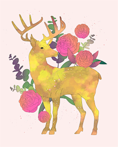 插画动物篇