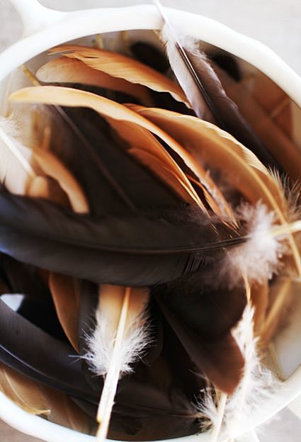 feathers: 