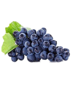 Lilac0826采集到H-红酒，葡萄，葡萄园，采摘