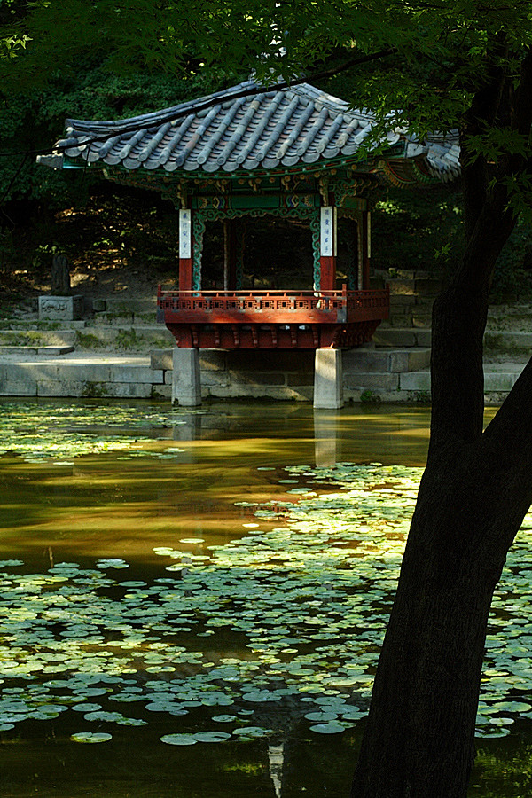 Changdeokgung by elr...