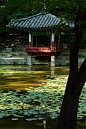 Changdeokgung by elrohil_2