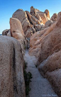 Slot Canyon - Joshua Tree National Park