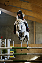 Showjumping by Colourize on deviantART