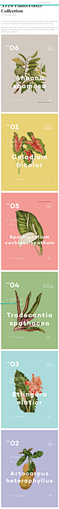 A Few Plants Poster Collection | Trendland