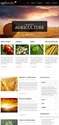 Website Template #44915