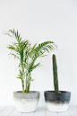 Just a few more Fox & Ramona pots that we are loving at Event Plants: 