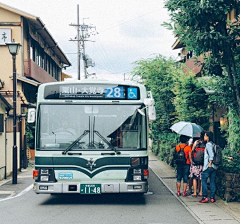 秋飘絮雨采集到美丽的地方