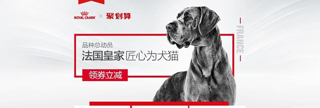 法国皇家 匠心为犬猫 - Banner设...