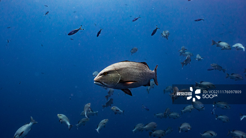 a2de9f6b4b9d09e1628936b5904a8a168373f04d18004-Y8nylP