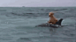 来自荷兰Ine Braat拍的海豚救狗狗短片
