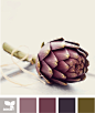 artichoke tones【寶】