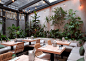 JUNGLE cafe : Cafe, located in Saint-Petersburg, Russia