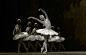 俄罗斯国家芭蕾舞团《天鹅湖》
