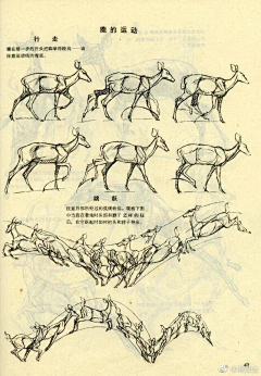 七安~采集到ATKS场景手绘