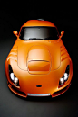 TVR Sagaris