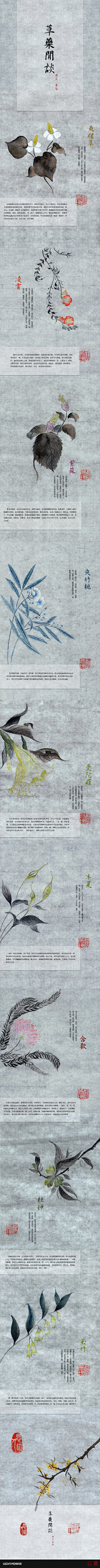 喵大人yin采集到China Art