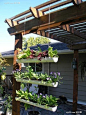 这样设计小庭院，阳台也能变成后花园|阳台改造花园- 设计圈