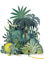 扁平风插画热带植物