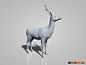 低面模鹿模型low poly deerC4D模型菜鸟C4D交流论坛 - Powered by Discuz!