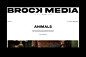Brock Media : Branding, website design and merchandising for Brock Media, a new and highly ambitious production company founded by Sarah Brocklehurst. Our approach was to focus on the idea of storytelling. Not just the incredible stories that the producti