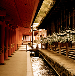 Lynn采集到萤岛国-Japan