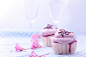 Cupcakes (by Vicco Gallo)#赏味期限#