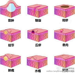 何有于我哉采集到养生护肤