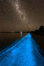澳大利亚的一个普通的湖，吉普斯兰湖，由于夜光藻聚集，荧光蓝漂浮在水平，仙境一样