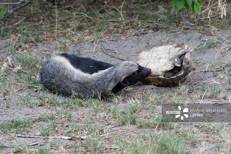 a35a5fc2af17cea2b9bb47d15606a823c5c7c5233b204-xnHqvO